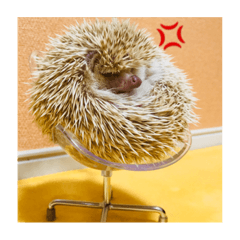 [LINEスタンプ] 可愛いハリスタンプ♡ 2
