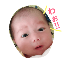 [LINEスタンプ] あきの一言