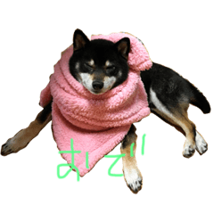[LINEスタンプ] クオ2
