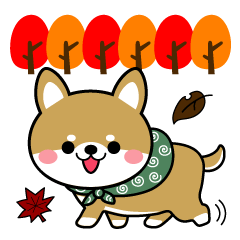 [LINEスタンプ] 豆柴の秋に使えるスタンプ【柴犬】の画像（メイン）