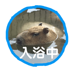 [LINEスタンプ] 水族館と動物園の日常