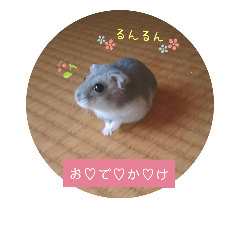 [LINEスタンプ] ちぃの一言