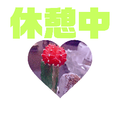 [LINEスタンプ] 今をときめくやすひろくんのスタンプ