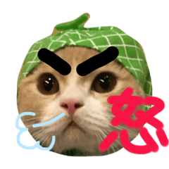 [LINEスタンプ] わんにゃん愉快な仲間たち
