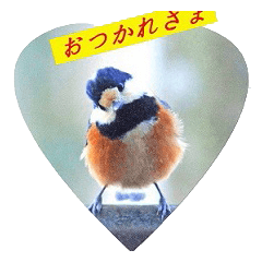 [LINEスタンプ] ヤマガラの幼鳥