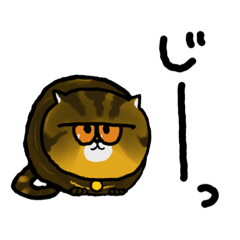 [LINEスタンプ] まわりのねこたちー
