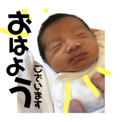 [LINEスタンプ] 陽向さん