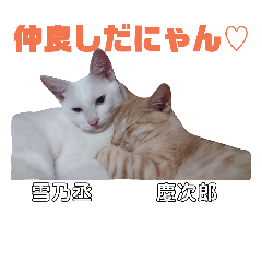 [LINEスタンプ] 雪慶ニャーズ2