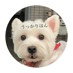 [LINEスタンプ] ななりんですがなにか