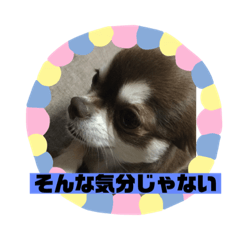 [LINEスタンプ] ワクワク パート2