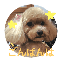 [LINEスタンプ] 犬スタンプ②