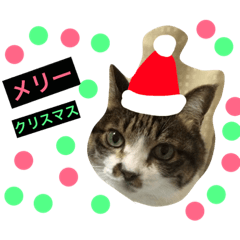 [LINEスタンプ] チッチとポッポ Part2