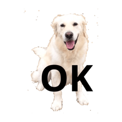 [LINEスタンプ] れいか2