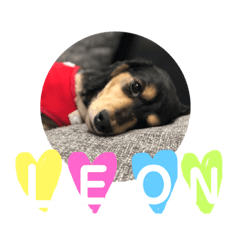 [LINEスタンプ] れおんのすたんぷ