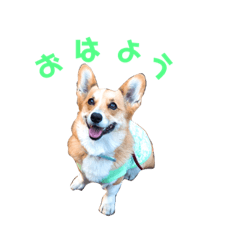[LINEスタンプ] すず＆花