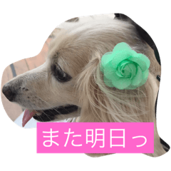 [LINEスタンプ] まろん♡