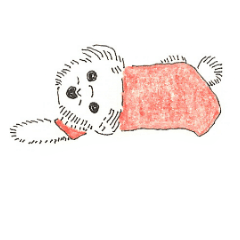 [LINEスタンプ] マルチーズコットン5えいご！