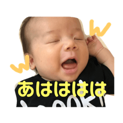 [LINEスタンプ] ぼくあおちゃんです