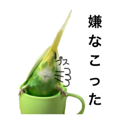 [LINEスタンプ] 荒ぶるインコtake2