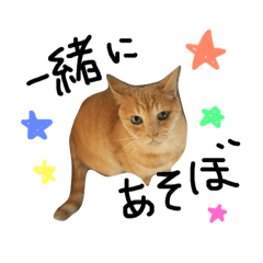 [LINEスタンプ] どんちゃん スタンプ