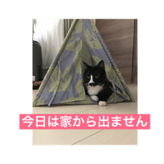 [LINEスタンプ] 鈴木家の日常必須なスタンプ