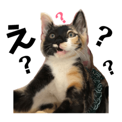 [LINEスタンプ] うぃんうぃんすたんぷ②