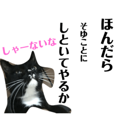 [LINEスタンプ] タキシードキャットのジジコさん