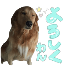 [LINEスタンプ] 〜くまのスタンプ〜