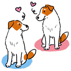 [LINEスタンプ] Every Day Dog Jack Russell Terrier