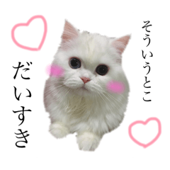 [LINEスタンプ] 小悪魔白猫しーまちゃんスタンプpart1