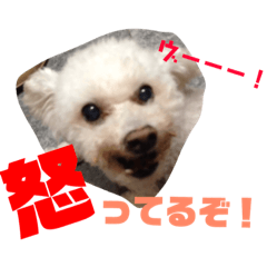 [LINEスタンプ] リルボーイ 3