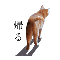 [LINEスタンプ] 三毛猫茶色白黒2