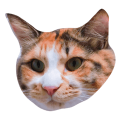 [LINEスタンプ] みいこの物語
