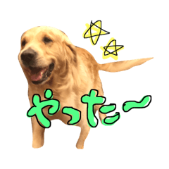 [LINEスタンプ] むっくのスタンプ