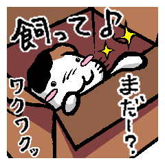 [LINEスタンプ] とっても感情豊かな気まま猫