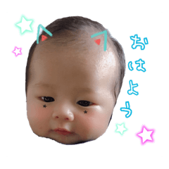 [LINEスタンプ] しりゅう、しどう