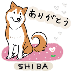 [LINEスタンプ] Every Day Dog 柴犬 日本語2の画像（メイン）