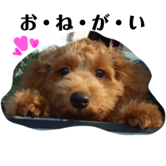 [LINEスタンプ] ビビの日常生活 2