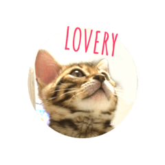 [LINEスタンプ] ベンガル  ライちゃん  2