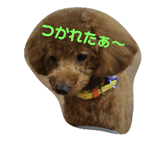 [LINEスタンプ] ねーむ