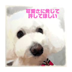 [LINEスタンプ] ちゃむ様スタンプ