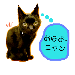 [LINEスタンプ] エルフなんだニャ