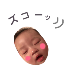 [LINEスタンプ] こた こた こた3