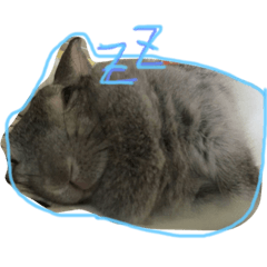 [LINEスタンプ] もかちゃん01
