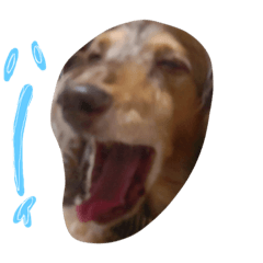 [LINEスタンプ] 愛犬スタンプです