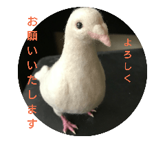 [LINEスタンプ] happy白鳩じゅんちゃんの画像（メイン）