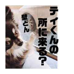 [LINEスタンプ] tina- kun