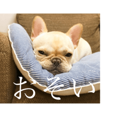 [LINEスタンプ] おもちのスタンプ 1