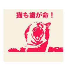 [LINEスタンプ] キジトラ 大吉ちゃん