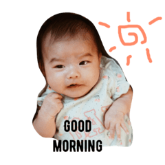 [LINEスタンプ] せなぴの日常
